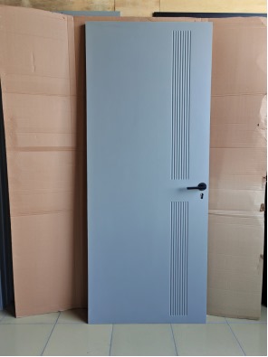 Elegant Modern Doors for Organized Living Spaces